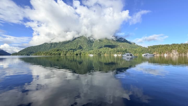 Fjord, morning, tranquil yacht.