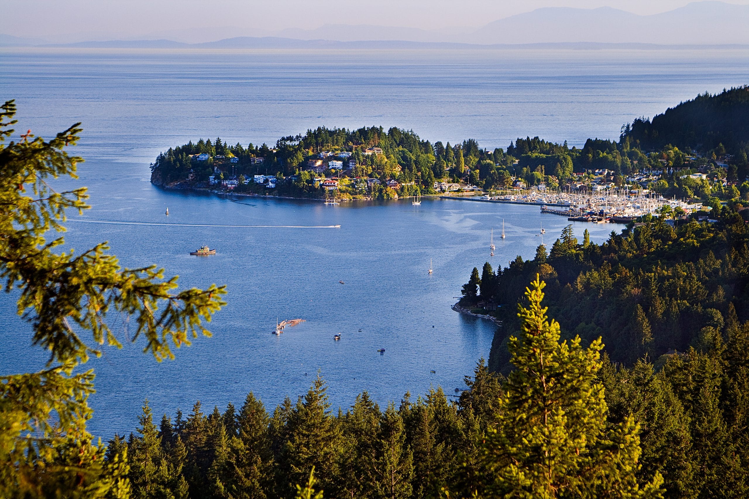 Salt Spring Island Wildlife Cruise · 3-Star Comfort Class — photo 6