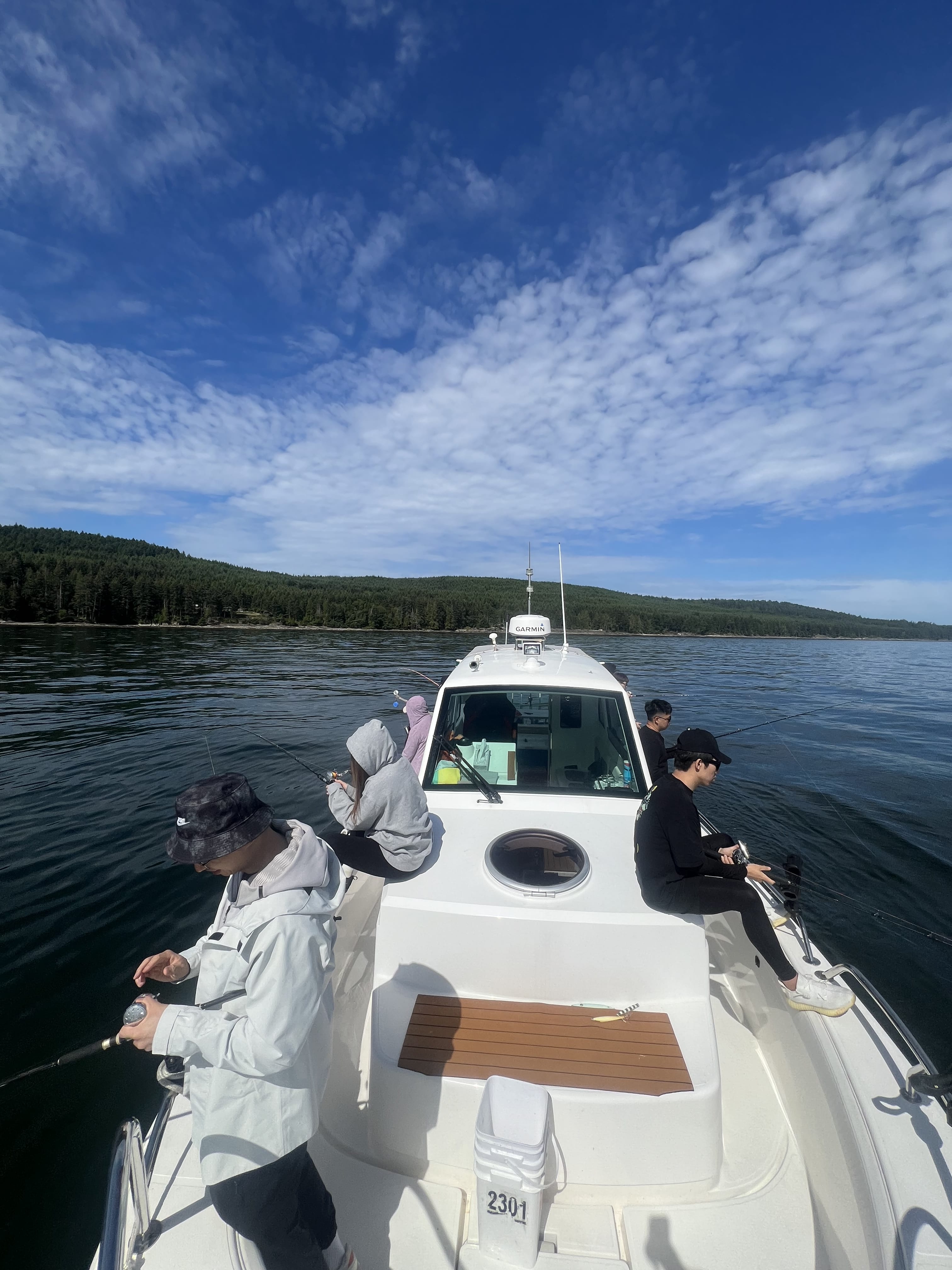 A day out looking for wildlife — photo 2
