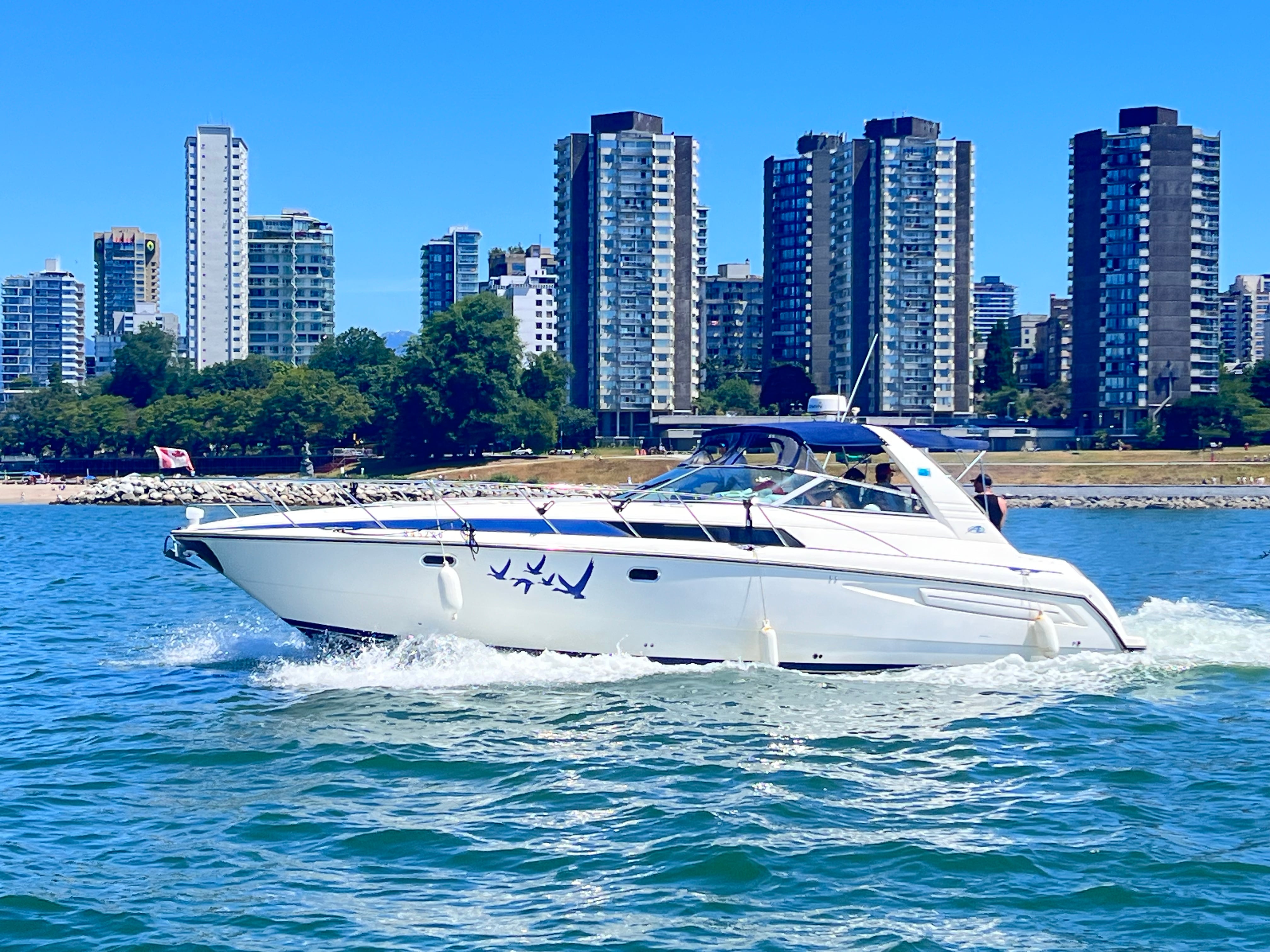 Avanti, Xport Marina