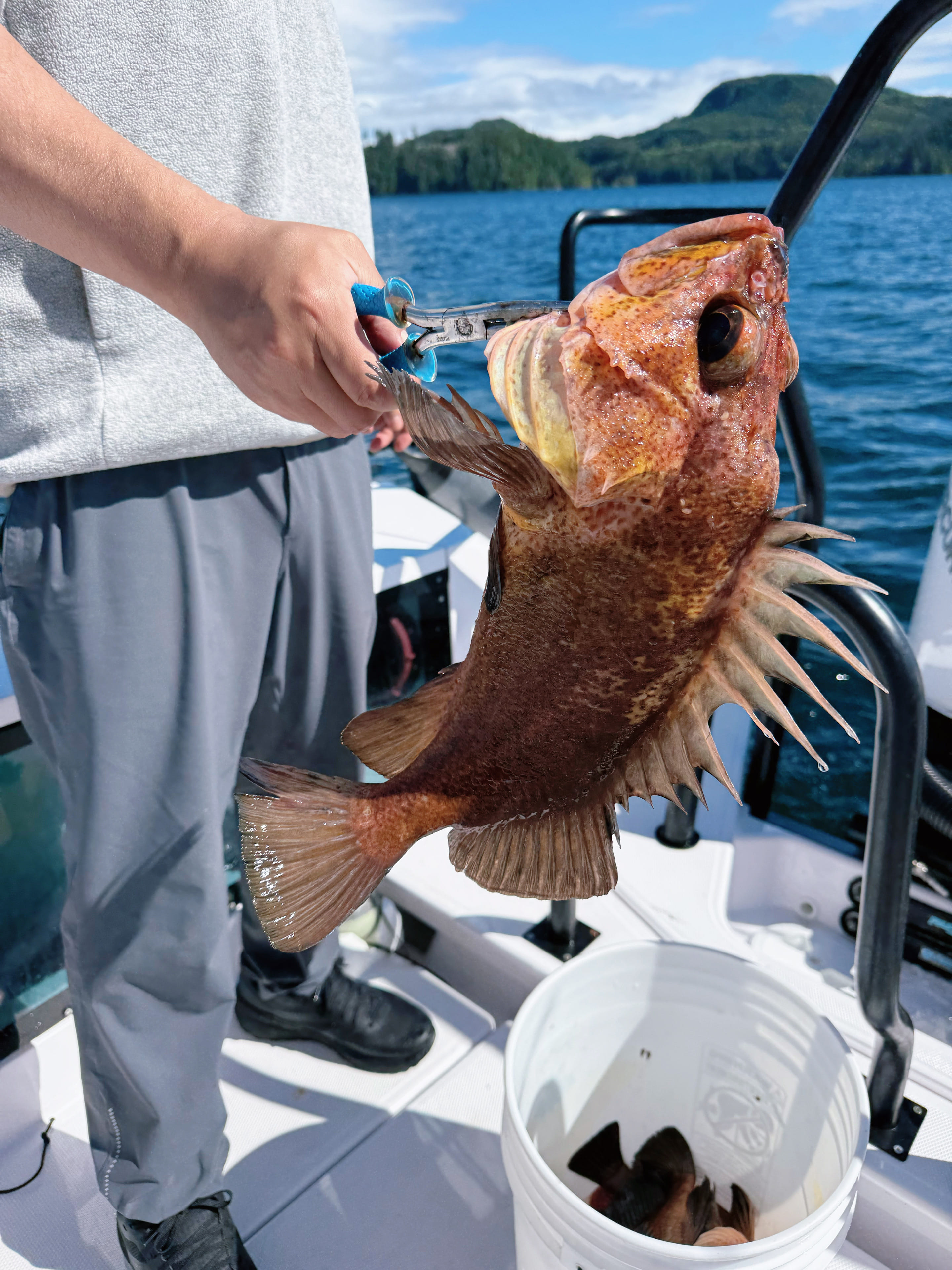Nanaimo Area Fishing Trip, Flexible Hours · 3-Star Comfort Class — photo 4