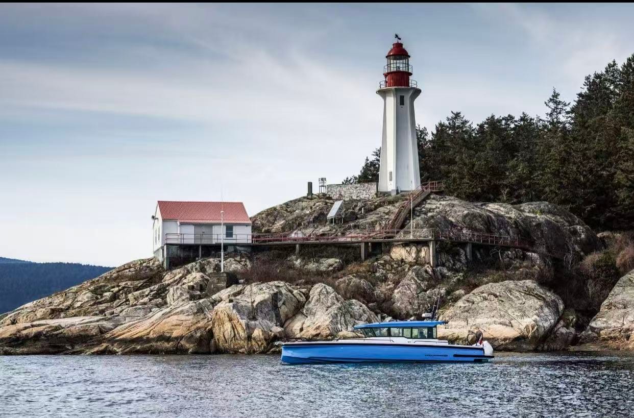 Salt Spring Island Wildlife Cruise · 3-Star Comfort Class — photo 10
