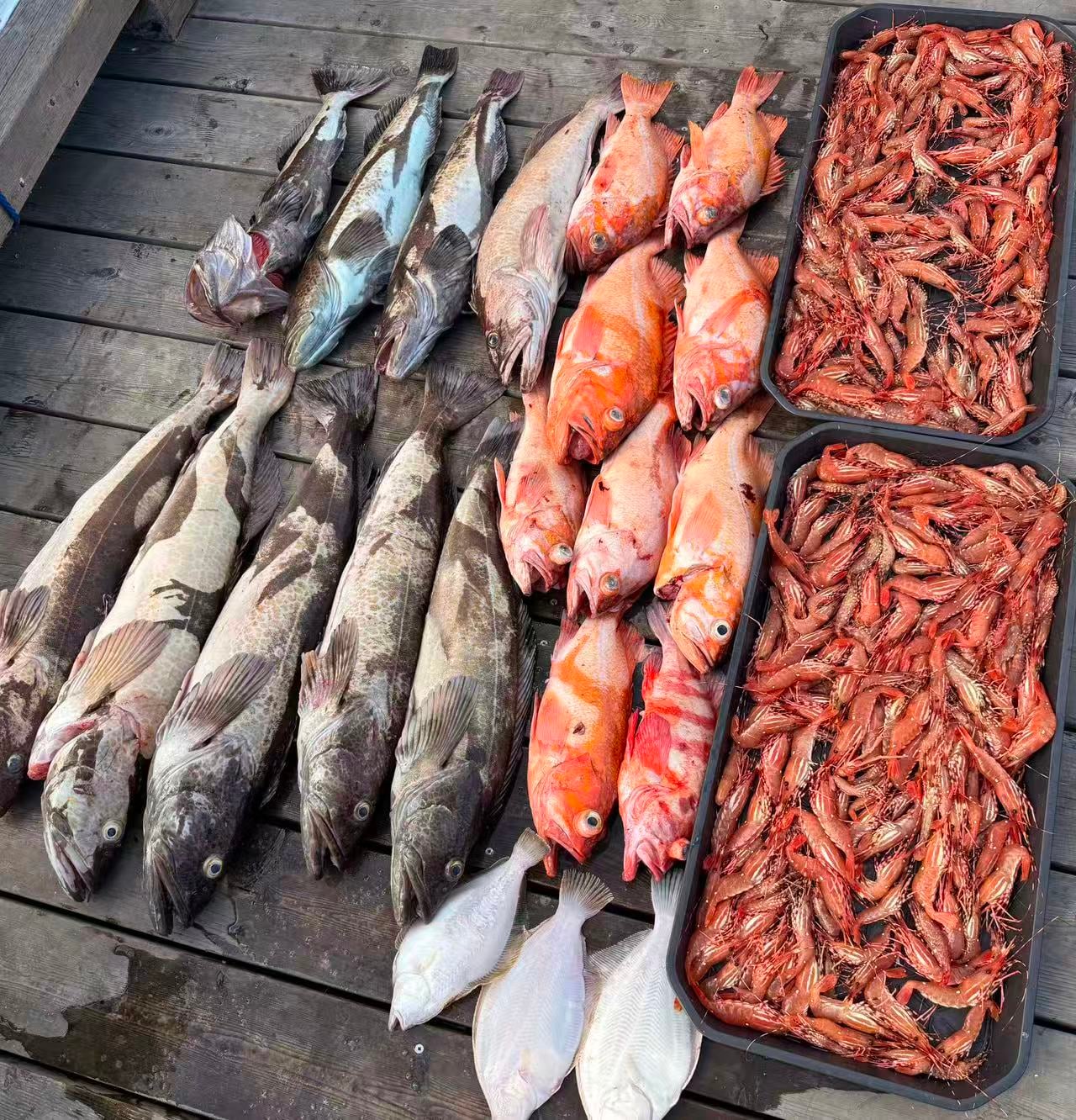 Nanaimo Area Fishing Trip from West Vancouver · 3-Star Comfort Class, Horseshoe Bay in West Vancouver