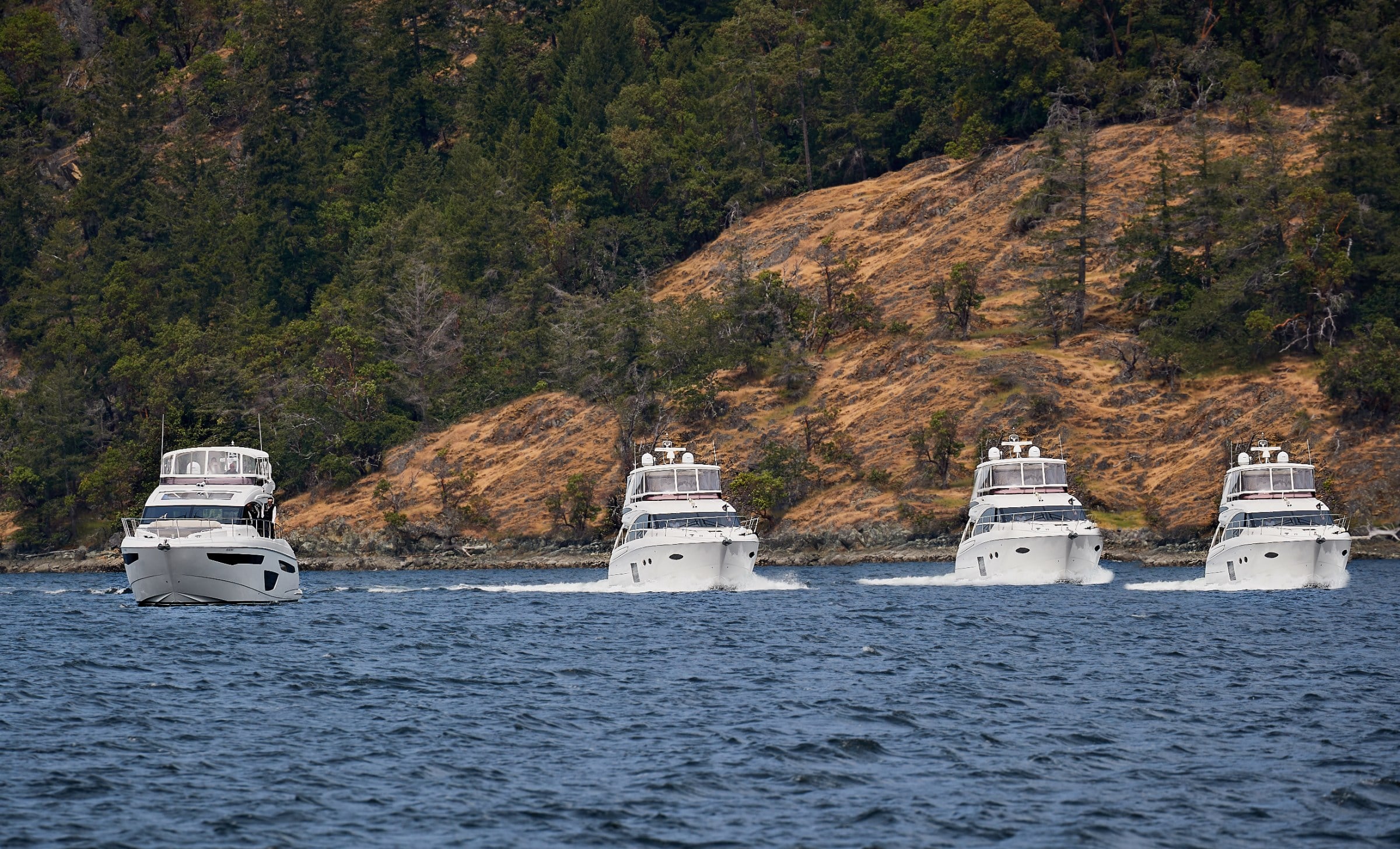 Four white motor yachts cruise in a line past a tree-covered, sunlit hillside shoreline.