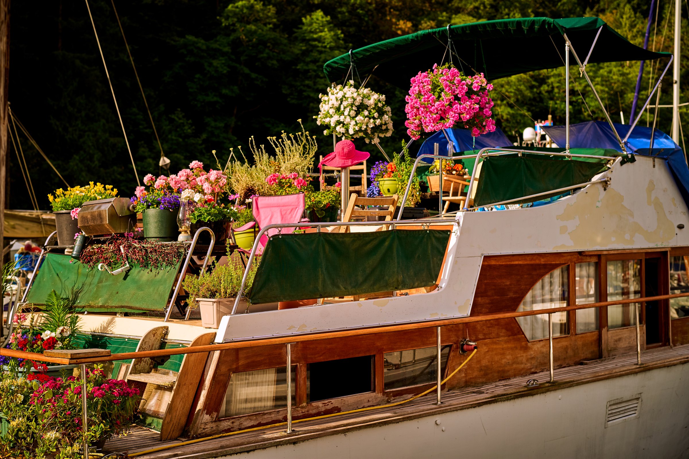 A liveaboard boat covered in flowers, moored in a green cove