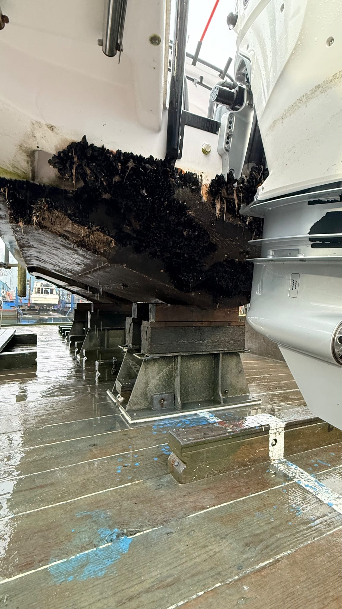 Does the bottom of this boat require a primer?